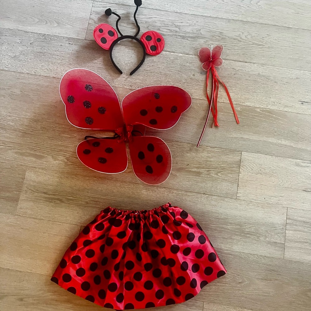 Ladybug Costume Set for Kids - Red and Black